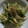 0127mayu's cooksnap of when they made ちょいと一品★三つ葉と茗荷＆大根のサラダ.