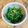 13pearls's cooksnap of when they made おかひじきの塩ナムル.