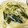 すがまっち's cooksnap of when they made 小松菜とツナの炒め物.