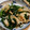 くみちょ～～'s cooksnap of when they made ささみとエリンギの創味シャンタンDX炒め.