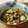 ゆみちゅん's cooksnap of when they made ﾀｺとｷｭｳﾘの粒ﾏｽﾀｰﾄﾞｿｰｽ和え.