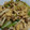 appi_mnw's cooksnap of when they made しめじとネギの卵炒め.