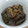 けじゃ's cooksnap of when they made ナスとシシトウの煮浸し.