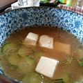 こぶたちゃんGOGO's cooksnap of when they made **トマトと豆腐の冷たいお食事スープ**.