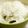 maruru-nn's cooksnap of when they made 簡単アンチョビ混ぜご飯.