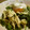 maruru-nn's cooksnap of when they made ほうれん草とささみとゆで玉子のサラダ.