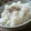 おしす's cooksnap of when they made 残ったえびの殻で☆美味しいだし汁.