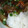 CoffeeCoco's cooksnap of when they made 落ち着く和風カレー♪次の日はうどんで♪.