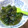 ぁぉﾋﾟｧｽ's cooksnap of when they made ほうれん草と（味付き）めかぶの和え物.