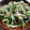 みりな's cooksnap of when they made もやしと小松菜のうまあじ炒め.