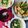 ドイツでヨガライフ's cooksnap of when they made Vegan★ベジ春巻き♪.