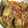 ぷれましい's cooksnap of when they made 夏野菜たっぷりなすとひき肉の新鮮トマト煮.