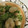 クックOEN6Y3☆'s cooksnap of when they made きゅうりと焼きふの酢味噌和え.