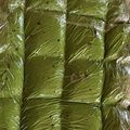 くいしんぼなおさん's cooksnap of when they made 自家製バジルで作る絶品ジェノバソース.