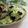 まろんかふぇ's cooksnap of when they made レタスと海苔のまぜまぜサラダ.