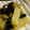 maruru-nn's cooksnap of when they made 黒豆入り大根とにんじんとしいたけの煮物.