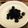 おはなすき's cooksnap of when they made 黒豆ヨーグルト.