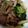 た。そ。's cooksnap of when they made 牛肉と小松菜のすき煮∞甘辛.