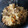 優愛LOVE's cooksnap of when they made ☆牛ごぼうの炊き込みご飯☆.