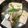 あい♪らんど's cooksnap of when they made プルップル♪鶏手羽元DE水炊き風湯豆腐♪.