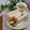 クックHG9V8Y☆'s cooksnap of when they made 朝食＊ベーコン・チーズ・胡瓜サンドイッチ.