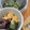 にゅーーき's cooksnap of when they made ☆摘んできたヨモギで！よもぎもち☆.