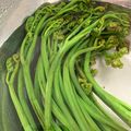 りんまるこちゃん's cooksnap of when they made カイロプラクティックのワラビ処理方法.