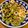 フレッシュハーブ's cooksnap of when they made サラダ油で簡単絞り出しクッキー.