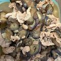 マトリョーシカ1号's cooksnap of when they made 暑い日に！よだれ豚ナス.