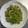 mi_co22's cooksnap of when they made 豆苗と豚こまと椎茸炒め.