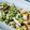 はるたんママ0727's cooksnap of when they made 中華くらげと鶏肉の和え物.