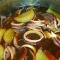 シロクンまる's cooksnap of when they made 簡単♪ 大根 イカの煮物 イカ大根！.