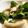 maruru-nn's cooksnap of when they made するめいかのバター醤油炒め.