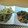 堕天使M's cooksnap of when they made かにかまときゅうりの中華風サラダ.