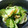 白夜要's cooksnap of when they made きゅうりとみょうがとちくわの柚子風味酢物.