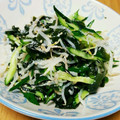 やっこぴー's cooksnap of when they made きゅうりともやしの簡単♪塩麹ナムル.