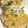 のえもゆ's cooksnap of when they made とっても簡単!!つくね風しそハンバーグ♡.