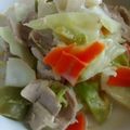ShinobiK's cooksnap of when they made 自家製ちゃんぽん〜パスタで海外でも中華麺.