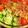 itsuk's cooksnap of when they made 5分で完成?!ぶっかけネバネバ素麺.