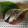 エターナルライス's cooksnap of when they made ♪しめさばの作り方♪.