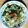 ヒヨコの子's cooksnap of when they made 超簡単！野菜炒め.