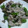 ゆみまさ's cooksnap of when they made 豚肉と夏野菜の中華炒め.