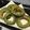 mipoyo's cooksnap of when they made あの苦味が減る！ゴーヤのから揚げ.