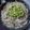 akeka's cooksnap of when they made 夏向き♪豚・えのき・もやしでレンジ蒸し♪.