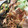 けいりんちゃん♪'s cooksnap of when they made ☆和風おろし新玉ねぎソース☆.