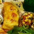 ルミちょ's cooksnap of when they made 【ブラジル】手作り簡単　パステウ.