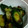 ♡ゆづき♡'s cooksnap of when they made 簡単！きゅうりのおかか和え.