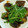 まぁ～す's cooksnap of when they made ★揚げない！ ナス南蛮.