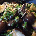 ひろりんt's cooksnap of when they made 簡単！ナスのネギ生姜タレ浸し.