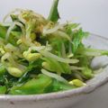 たべたいち's cooksnap of when they made ポン酢・七味・もやし・キャベツ.